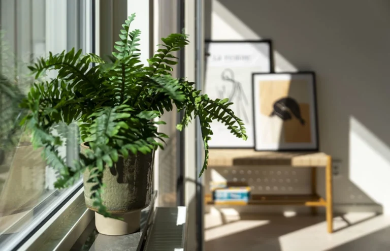 Interiör i ljus studentlägenhet på Campus Hills i Karlstad med inredningsdetaljer och växt i fönstret. Hos oss kan du byta bostad. Hör av dig via mail.